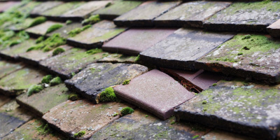 Inkpen roof repair costs